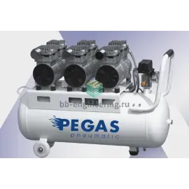 PG-2400 6609 PEGAS - Бесшумный компрессор безмасляный, изображение 1