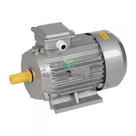 YL100L-2 6801 PEGAS - Электродвигатель 3Ф 3,0 кВт, 2880 об/мин медная обмотка, изображение 1