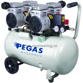 PG-800*2 6610 PEGAS - Бесшумный компрессор безмасляный, изображение 1