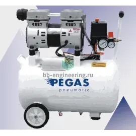 PG-1100 6607 PEGAS - Бесшумный компрессор безмасляный, изображение 1