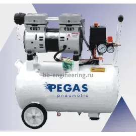 PG-800 6606 PEGAS - Бесшумный компрессор безмасляный, изображение 1